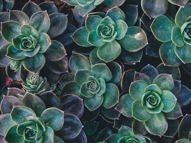 火星日落<br>lyk4ls.cn 蓝色苍穹遐想